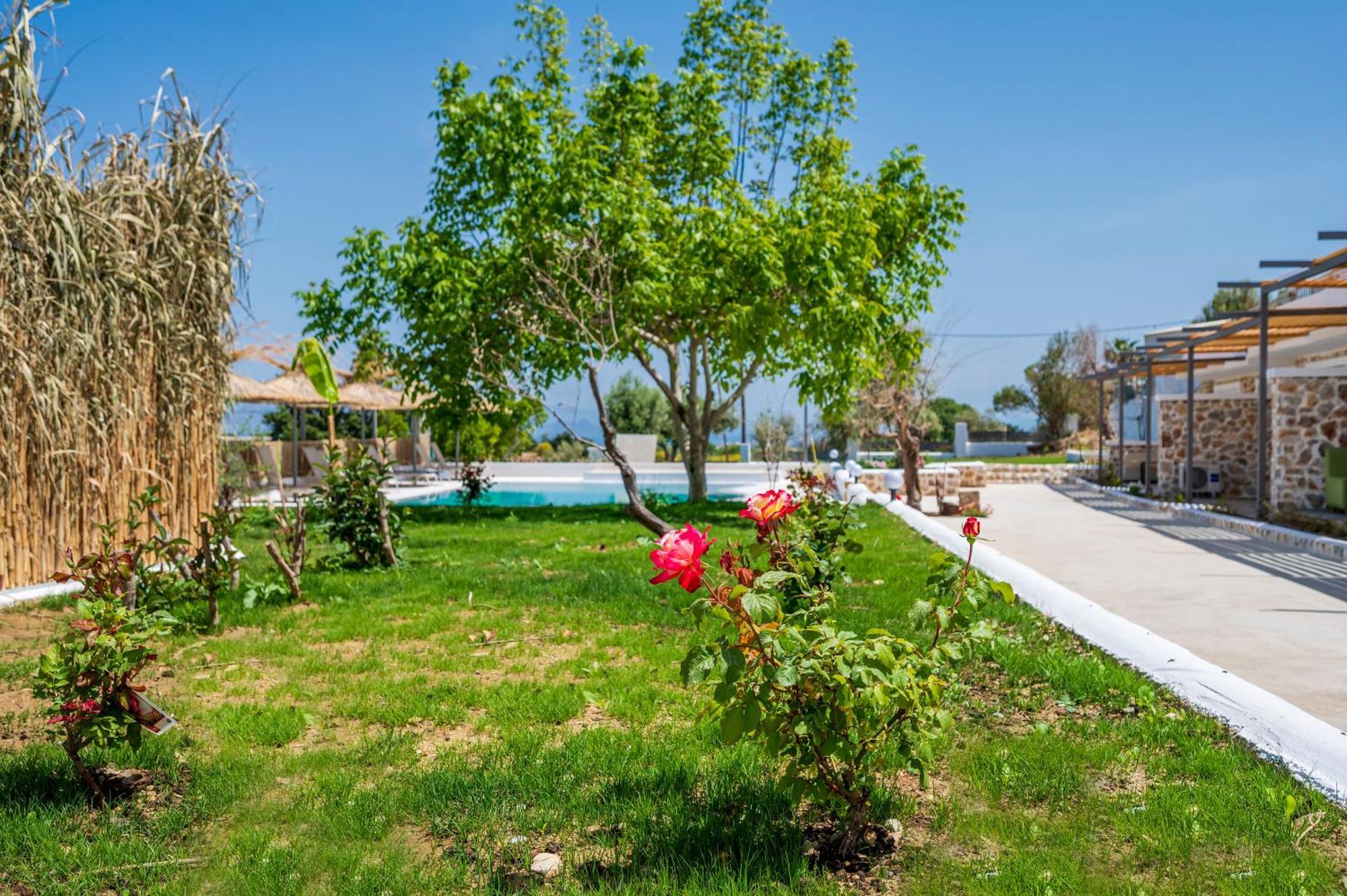 Homes Eva'S Garden, Poolside Cozy Havens In Kos Agios Dimitrios  Exteriér fotografie